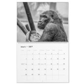 Monkey Business Calendar Kalender (Mar 2027)