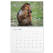 Monkey Business Calendar Kalender (Jan 2027)