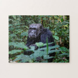 Monkey Business Legpuzzel