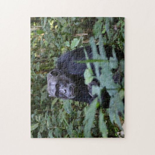 Monkey Business Legpuzzel (Verticaal)