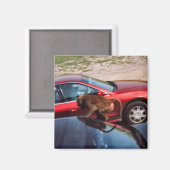 Monkey Business Magneet (Voorkant / Achterkant)