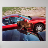 Monkey Business Poster (Voorkant)