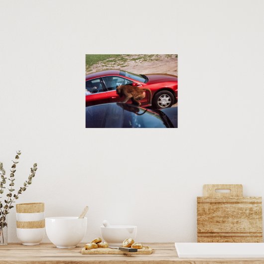 Monkey Business Poster (Keuken)