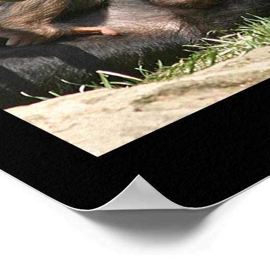 Monkey Business Poster (Hoek)