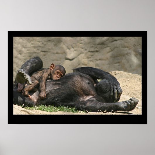 Monkey Business Poster (Voorkant)