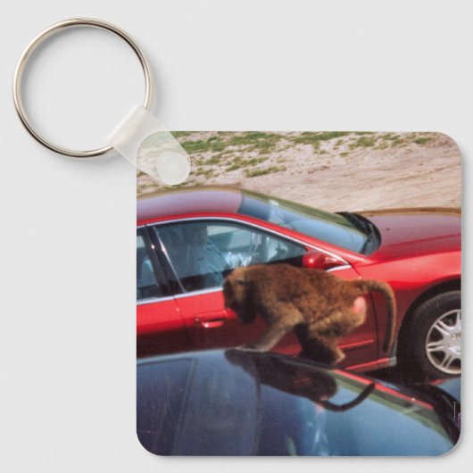 Monkey Business Sleutelhanger (Voorkant)
