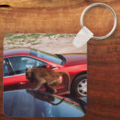 Monkey Business Sleutelhanger (Achterkant)