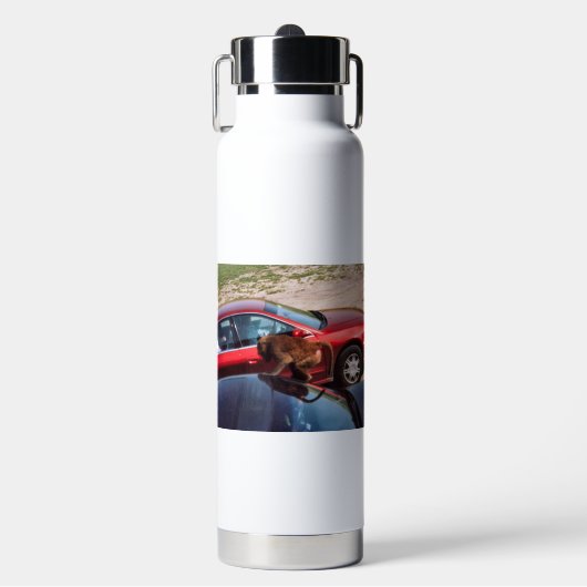 Monkey Business Waterfles (Voorkant)