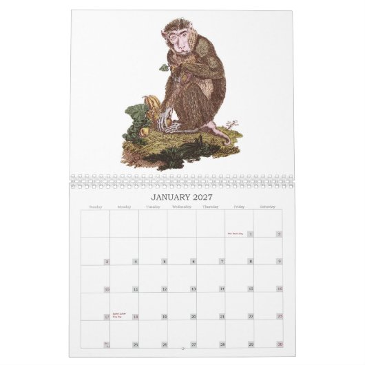 Monkey Calendar Kalender (Jan 2027)
