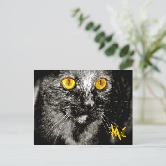 Monkey Cat Briefkaart (Staand voorkant)