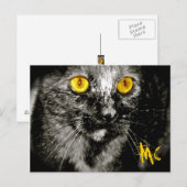 Monkey Cat Briefkaart (Voorkant / Achterkant)