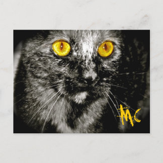 Monkey Cat Briefkaart