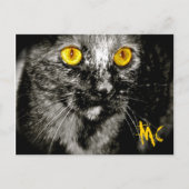 Monkey Cat Briefkaart (Voorkant)