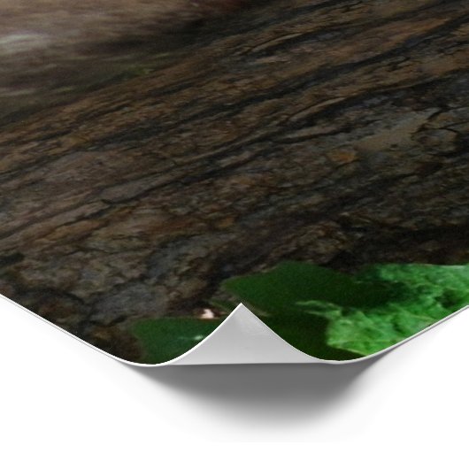 Monkey chill poster (Hoek)