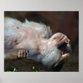 Monkey chill poster (Voorkant)