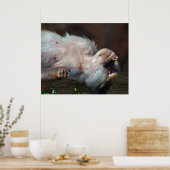 Monkey chill poster (Keuken)