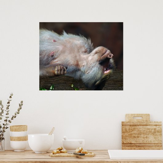 Monkey chill poster (Keuken)