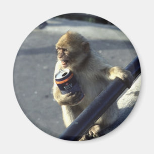 Monkey Drink Probleem Magnet