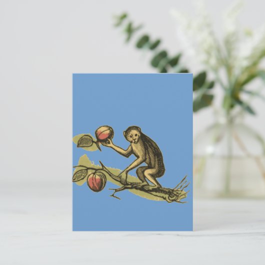 Monkey en Zijne Coconuts Briefkaart (Staand voorkant)