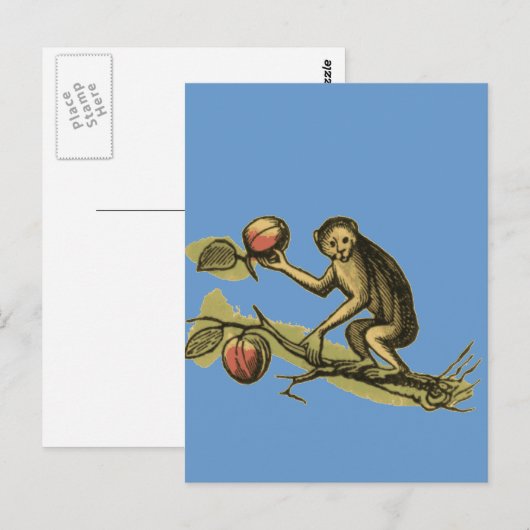 Monkey en Zijne Coconuts Briefkaart (Voorkant / Achterkant)