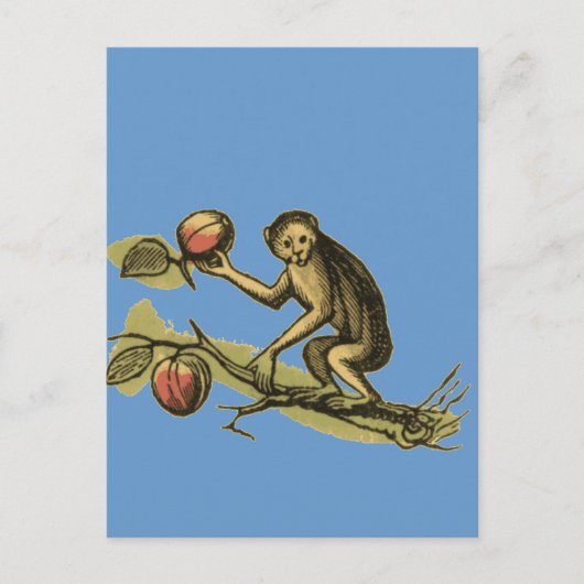 Monkey en Zijne Coconuts Briefkaart (Voorkant)