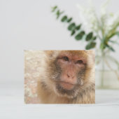 Monkey Face Briefkaart (Staand voorkant)
