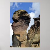 Monkey Face Poster (Voorkant)