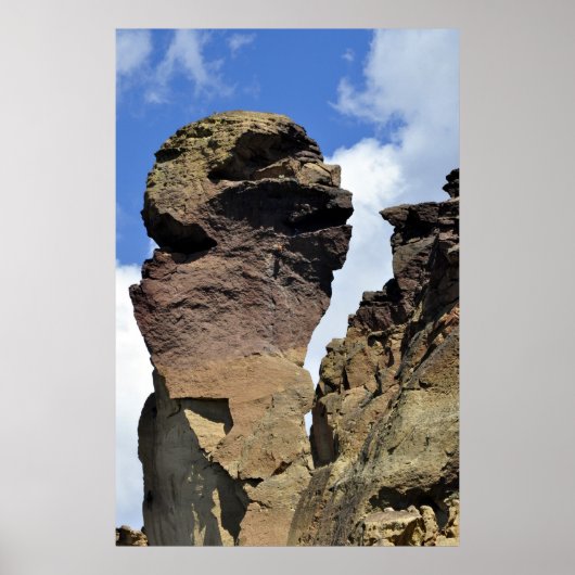 Monkey Face Poster (Voorkant)