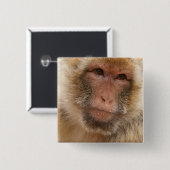 Monkey Face Square Pin Vierkante Button 5,1 Cm (Voorkant /achterkant)
