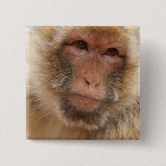 Monkey Face Square Pin Vierkante Button 5,1 Cm (Voorkant)