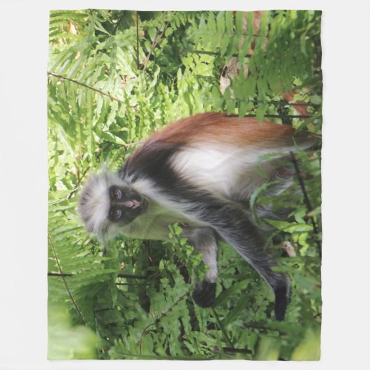 Monkey Fleece Blanket Deken (Voorkant)