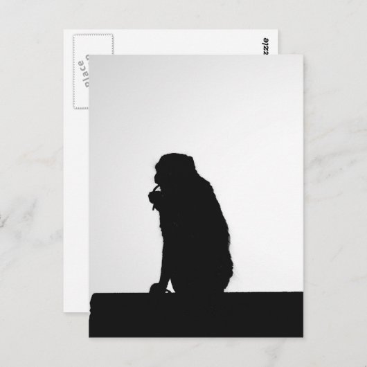 Monkey flosssilhouette foto briefkaart (Voorkant / Achterkant)