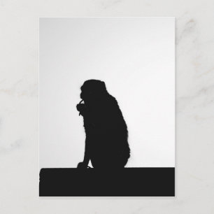 Monkey flosssilhouette foto briefkaart