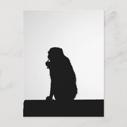 Monkey flosssilhouette foto briefkaart (Voorkant)