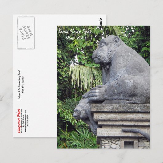 Monkey Forest Briefkaart (Voorkant / Achterkant)