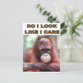 MONKEY FUN BRIEFKAART (Staand voorkant)