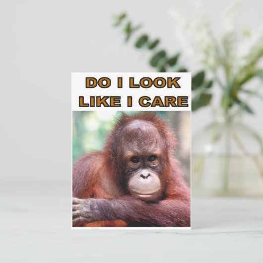 MONKEY FUN BRIEFKAART (Staand voorkant)
