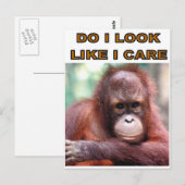 MONKEY FUN BRIEFKAART (Voorkant / Achterkant)
