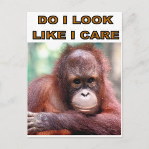 MONKEY FUN BRIEFKAART