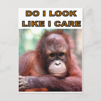 MONKEY FUN BRIEFKAART