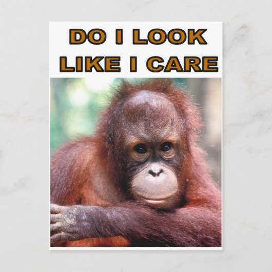 MONKEY FUN BRIEFKAART (Voorkant)