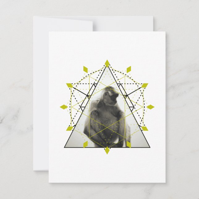 Monkey Geometry (Voorkant)