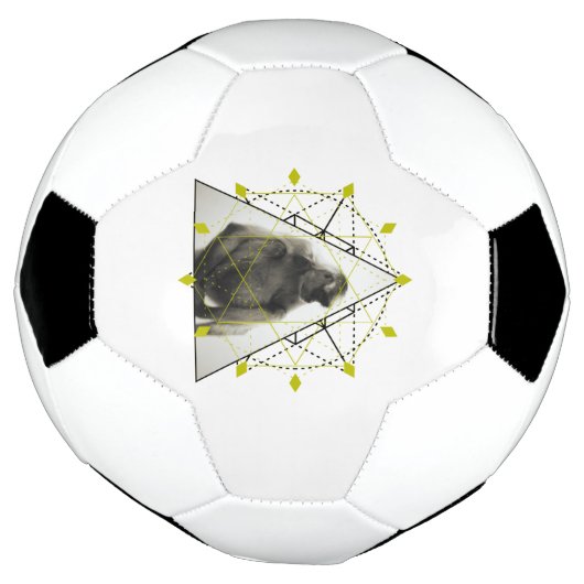 Monkey Geometry Voetbal (Gedraaid)