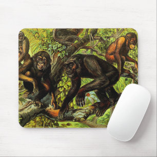 Monkey Gibbon Chipanzee Gorilla Orangutan Muismat