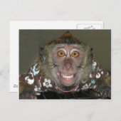 Monkey glimlachen briefkaart (Voorkant / Achterkant)