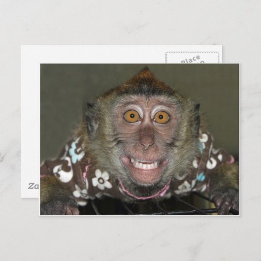 Monkey glimlachen briefkaart (Voorkant / Achterkant)