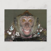 Monkey glimlachen briefkaart (Voorkant)