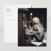 Monkey glimlachen briefkaart (Voorkant / Achterkant)