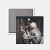 Monkey glimlachen magneet (Voorkant / Achterkant)
