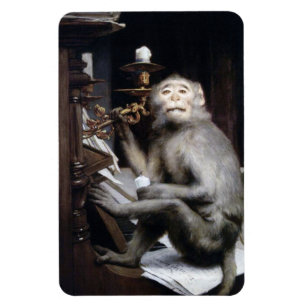 Monkey glimlachen magneet